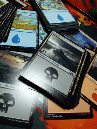 Lote MTG Magic 100 Terre Base