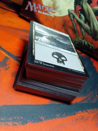 Lote MTG Magic 100 Terre Base