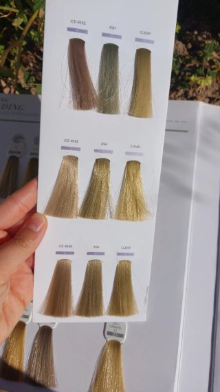 Tintes y Matices Schwarzkopf