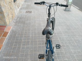 Bicicleta Rueda 26 Monoplato