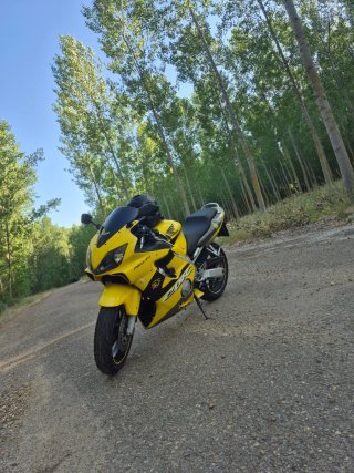 Honda CBR 600 F Amarilla