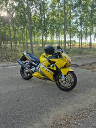 Honda CBR 600 F Amarilla
