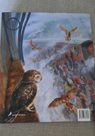 Libros ilustrados Harry Potter