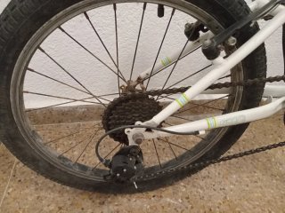 Bicicleta Infantil Charm 205