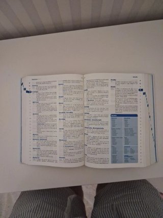 Diccionario de Primaria
