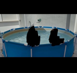 Piscina Redonda 3,05x0,76 con depuradora