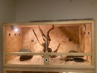 Terrario para reptiles madera y cristal