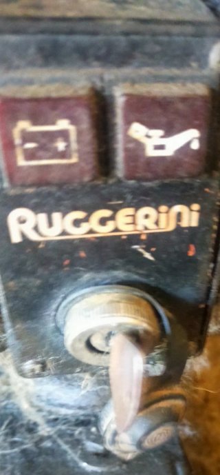 Generador Diesel Ruggerini 12000W