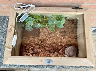 Terrario para reptiles madera y cristal