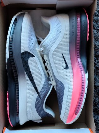 Nike Pegasus Premium Size 43 EU