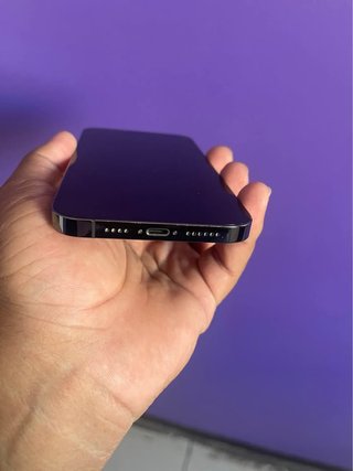 iPhone 13 Pro Max Gris