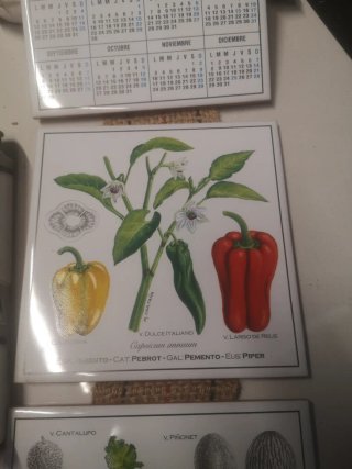 Azulejos decorativos Bayer CropScience