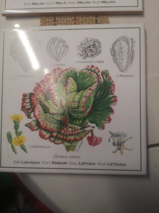 Azulejos decorativos Bayer CropScience