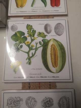 Azulejos decorativos Bayer CropScience