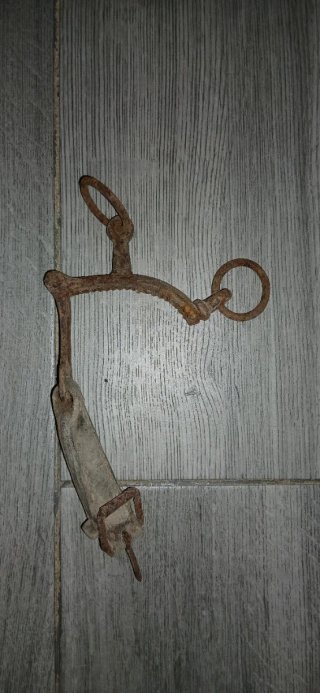 Arneses y bridas para caballos antiguos.