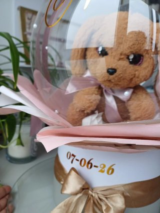Globo burbuja personalizado con peluche