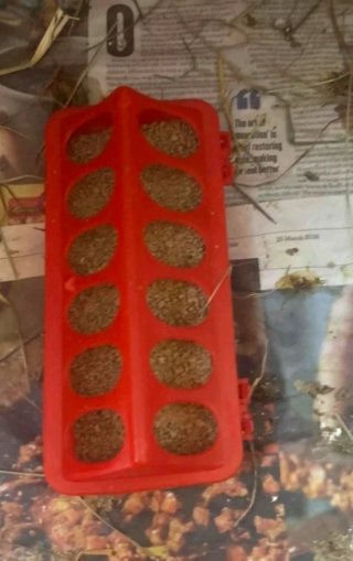 Comedero para gallinas