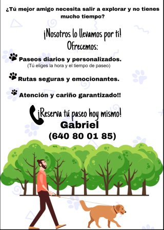 paseo para tus mascotas