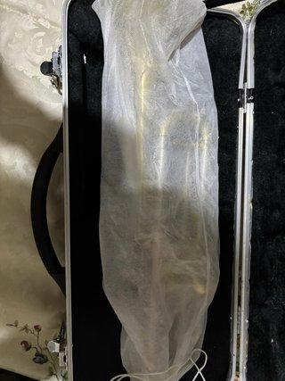 Trompeta Zeus con estuche