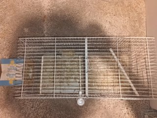 Jaula para pájaros 60cm