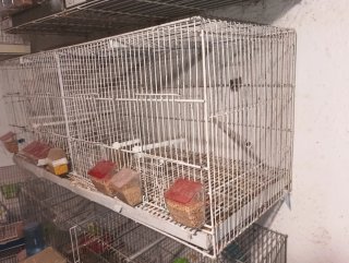 Jaula 1m para pájaros