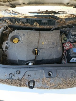 Renault Megane 2004( para despieze)