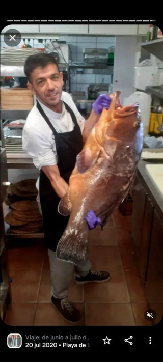 Cocinero