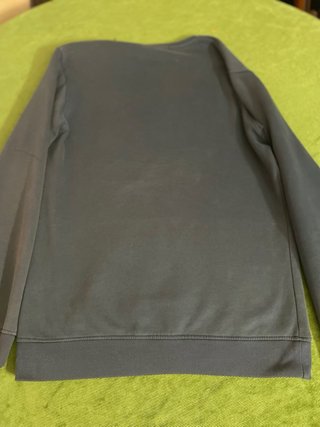 Felpa Polo Ralph Lauren grigia