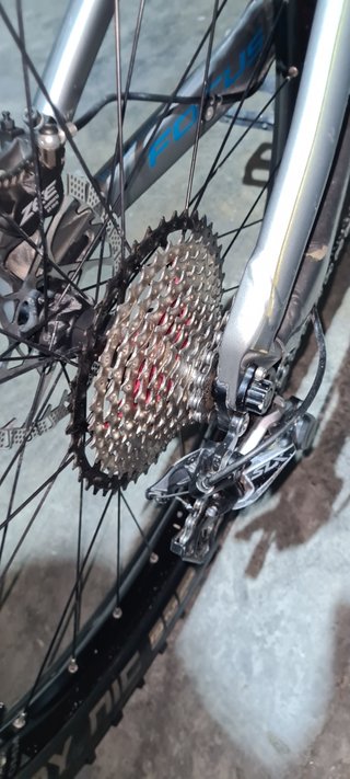 Ebike MTB FOCUS SAM2