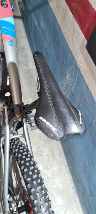Ebike MTB FOCUS SAM2