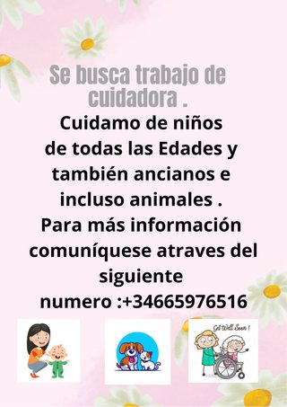 Cuidado de niños , ancianos , paseo de perros