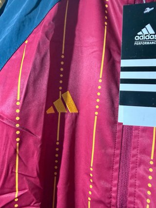 Chaqueta España Entrenamiento