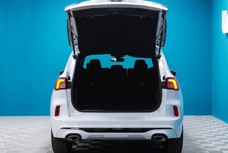 Ford Kuga ST-Line 2.0 EcoBlue 120CV Auto