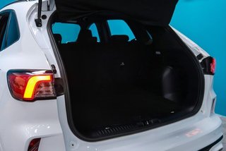 Ford Kuga ST-Line 2.0 EcoBlue 120CV Auto