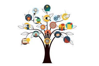 Clases particulares individualizadas de ciencias
