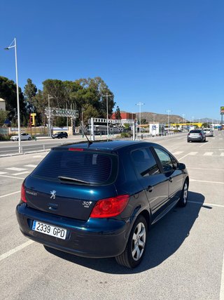 Peugeot 307 2007