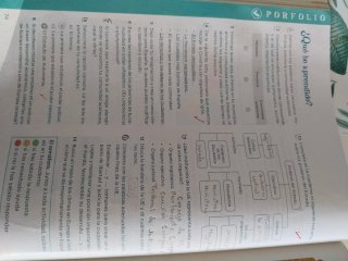 Ciencias sociales 5 Primaria : [Operación Mundo...