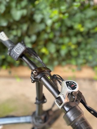 FIIDO D2S Bicicleta Eléctrica Plegable