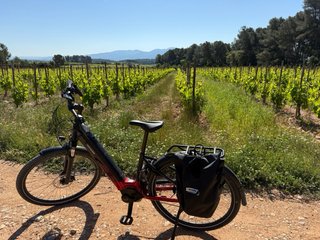 Bicicleta Eléctrica Cannondale Tesoro Neo X 2