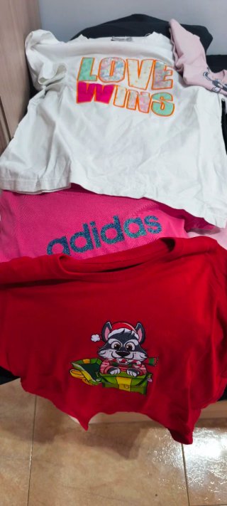 Lote Ropa Variada: Sudaderas y Camisetas