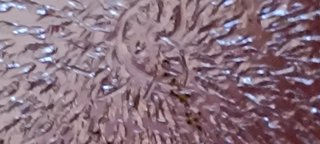 Scatola portagioie antica per la comunione D. Colo