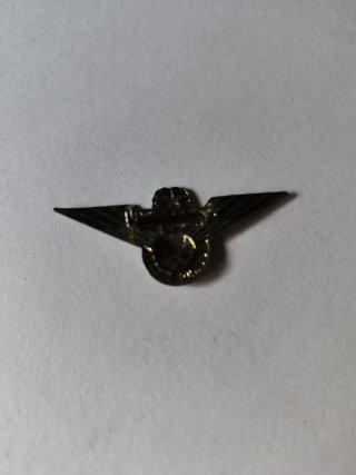 Insignia piloto TWA años 60.