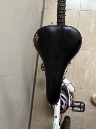 Bicicleta Bianchi Clásica 26