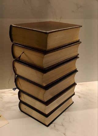 Lote 6 Tomos Biblioteca de S. Reader'Digest + rega