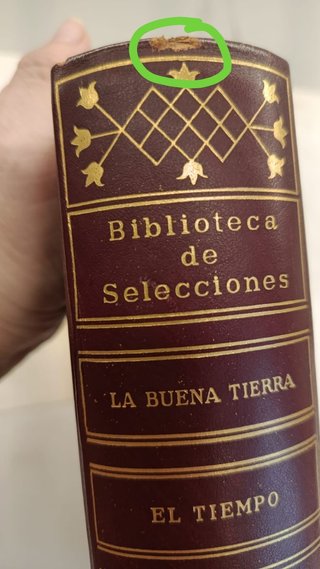 Lote 6 Tomos Biblioteca de S. Reader'Digest + rega