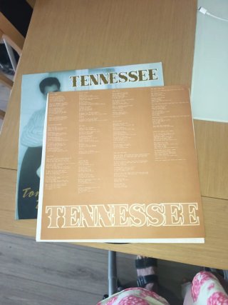 Vinilo Tennessee Tonto por ti
