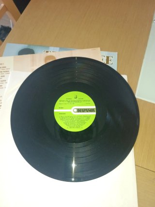 Vinilo Tennessee Tonto por ti