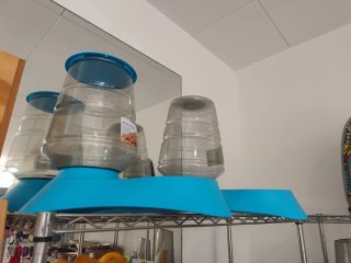 Tolva pienso y agua para mascotas