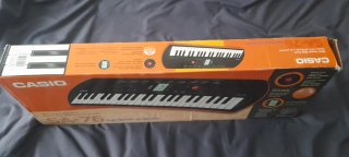 Órgano Casio SA-76