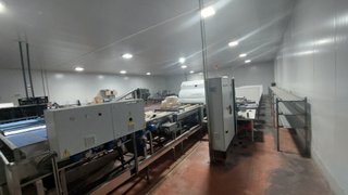 Calibrador de cerezas 4 vías